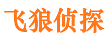 新市侦探调查公司